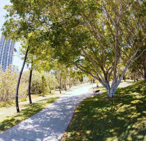 Gold Coast Commonwealth Walkway under trees