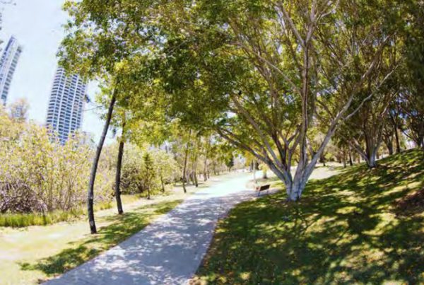 Gold Coast Commonwealth Walkway under trees