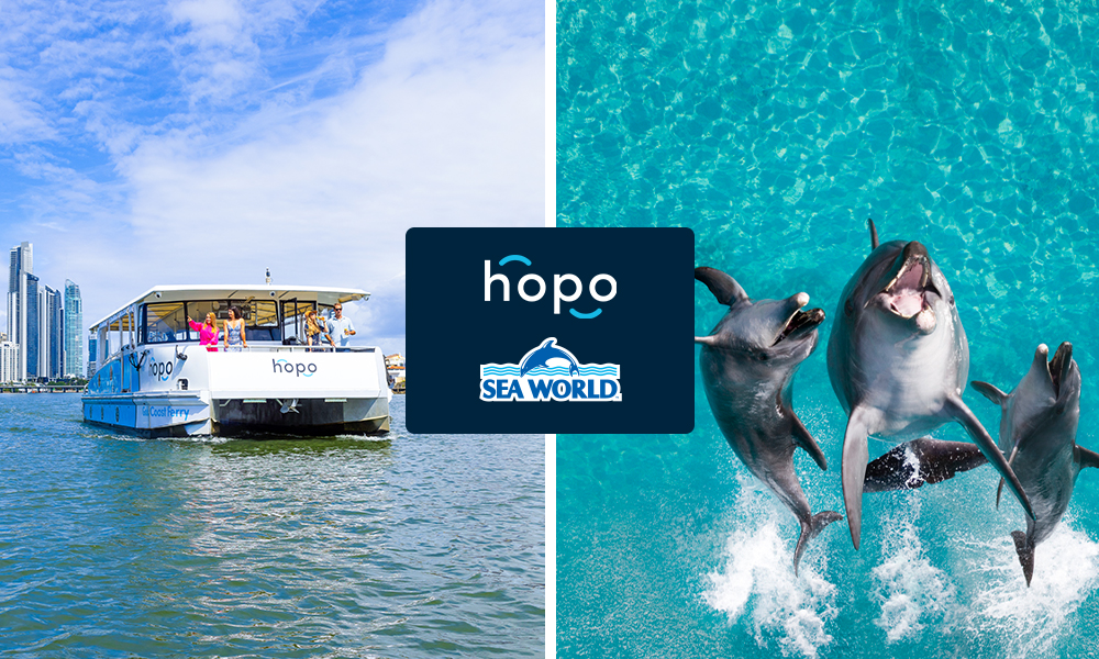 Combo HopoSeaWorld
