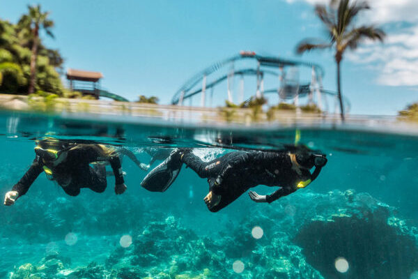 SW-Animal-Adventure-Tropical-Reef-001-sized-600x600