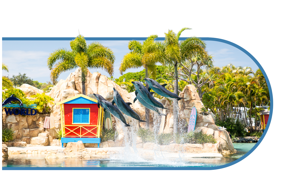 Home Page 14 SeaWorldHomepageDestination