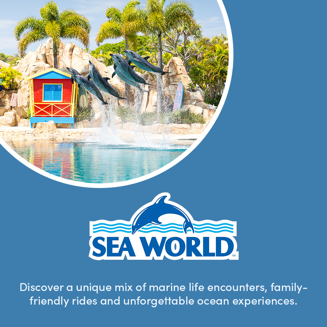 HOPO SW Banner 1x1 1