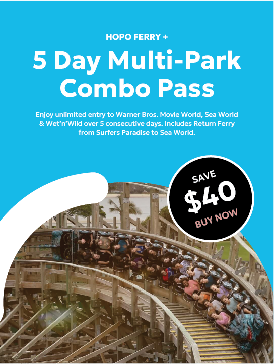 Hopo 5DayThemePark Pass mbl